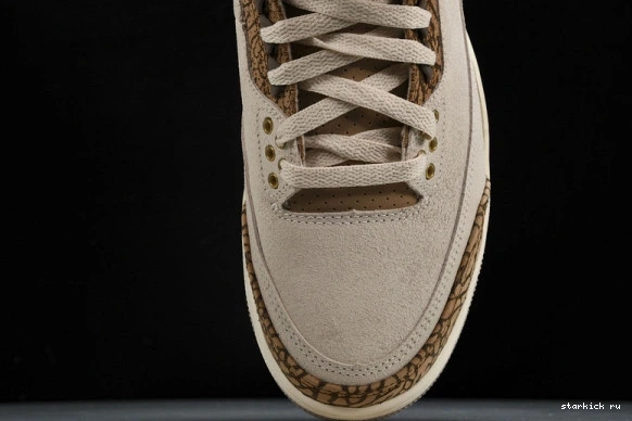 Retro Jordan  3  CT8532-102 Palomino CT8532-102 0925